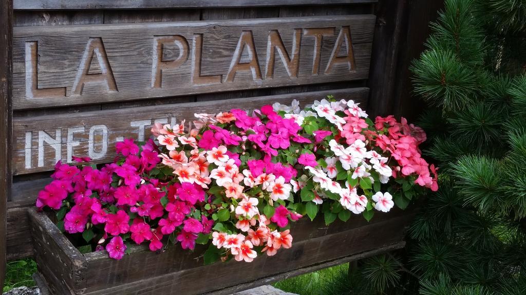 Residence La Planta Ορτιζέι Εξωτερικό φωτογραφία